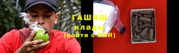 прущие грибы Бронницы