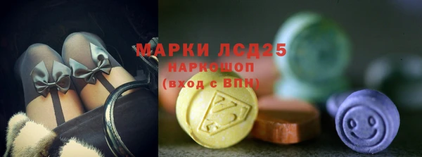 прущие грибы Бронницы