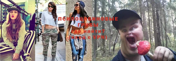 прущие грибы Бронницы