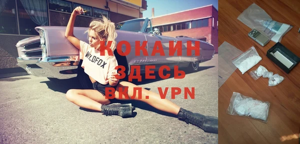 прущие грибы Бронницы