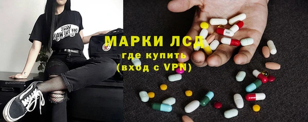 прущие грибы Бронницы