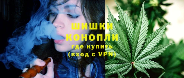 прущие грибы Бронницы