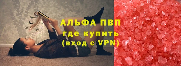 прущие грибы Бронницы