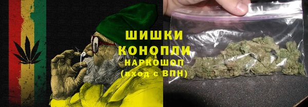 прущие грибы Бронницы