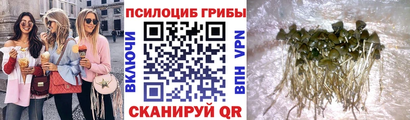 Псилоцибиновые грибы GOLDEN TEACHER  МЕГА зеркало  Короча  что такое  
